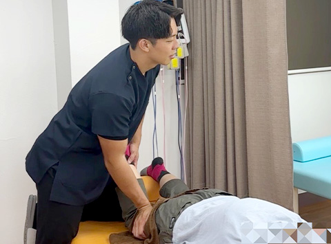 全身整体